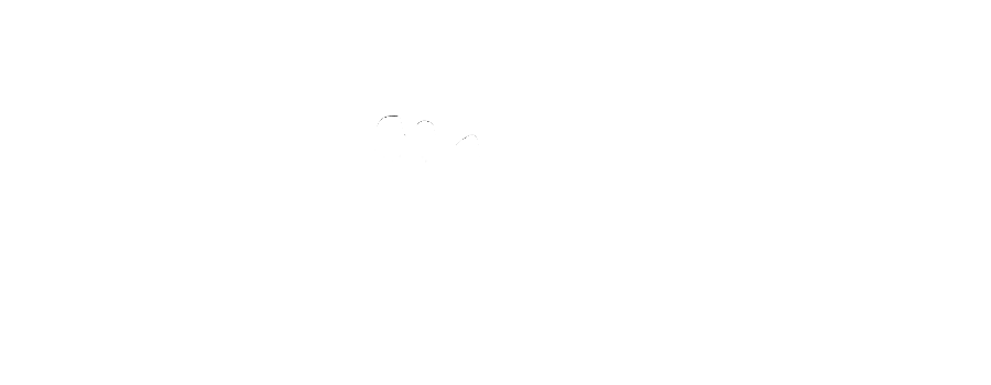 tripgili.com